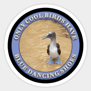 Cool Birds Have Blue Dancing Shoes Sticker